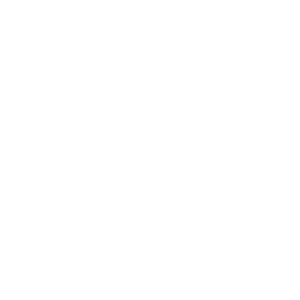 SEG